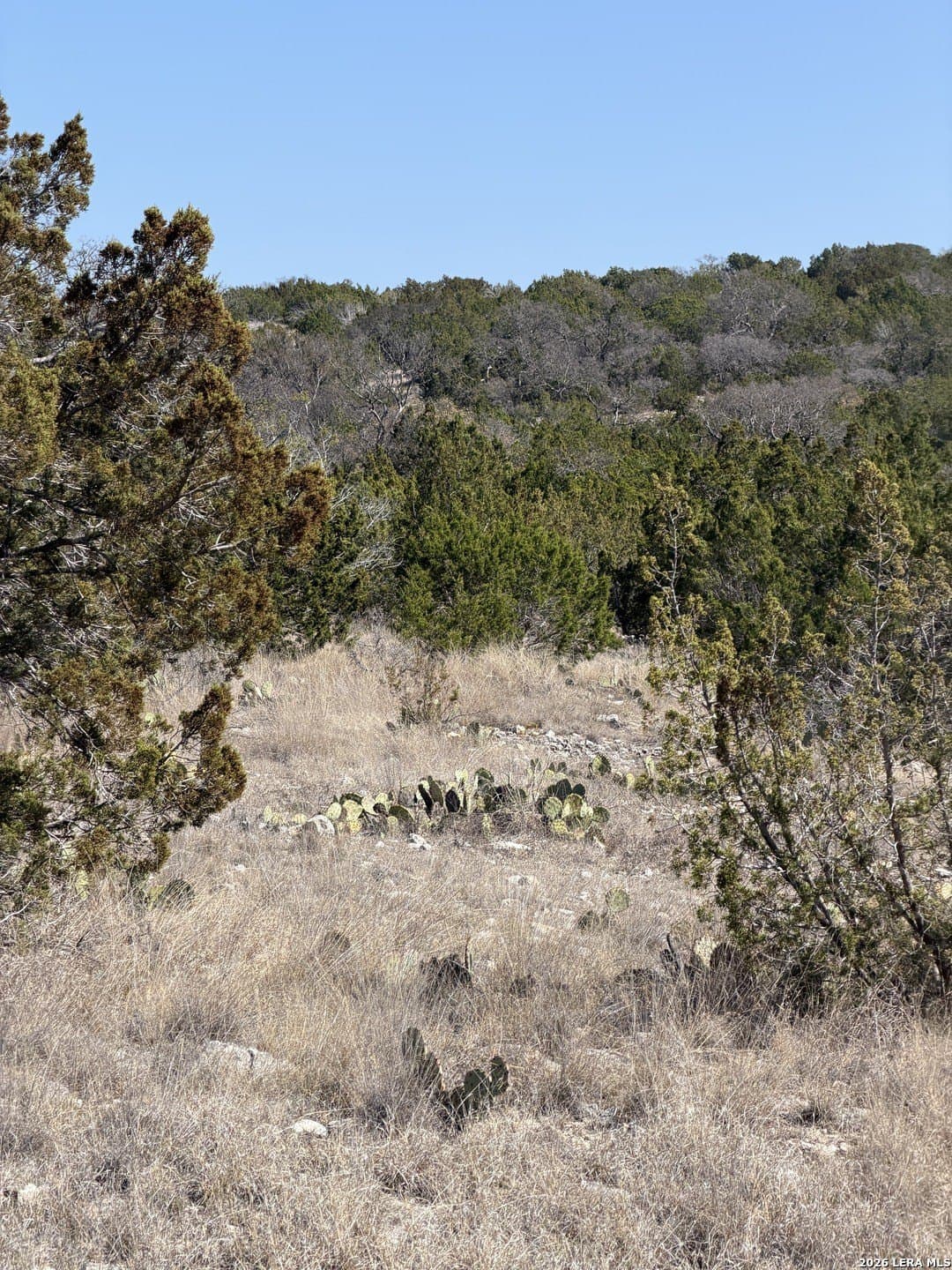 21.94 acres in Edwards County - photo 24