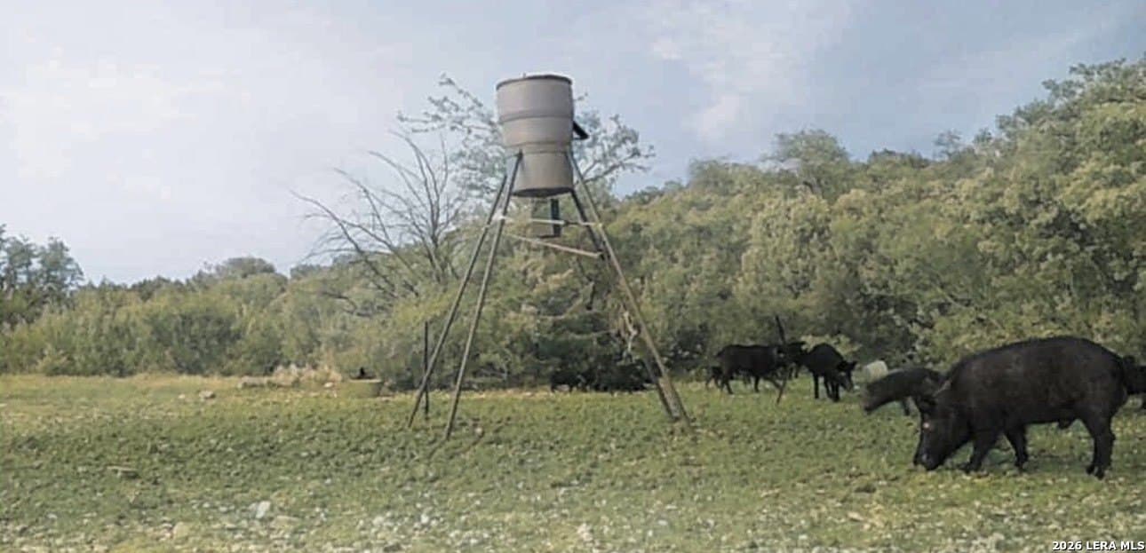 21.94 acres in Edwards County - photo 20
