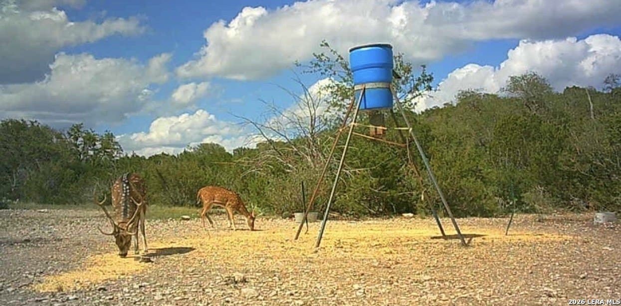 21.94 acres in Edwards County - photo 21