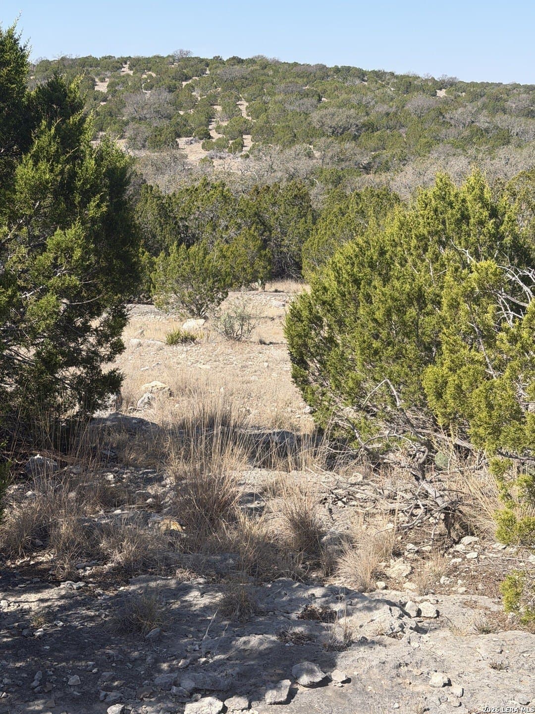 21.94 acres in Edwards County - photo 29