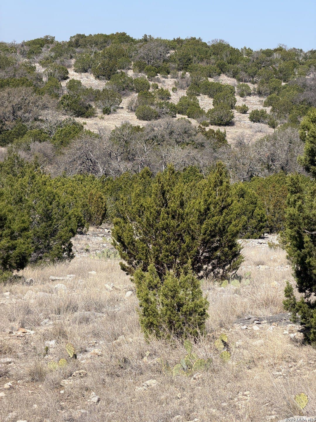 21.94 acres in Edwards County - photo 32