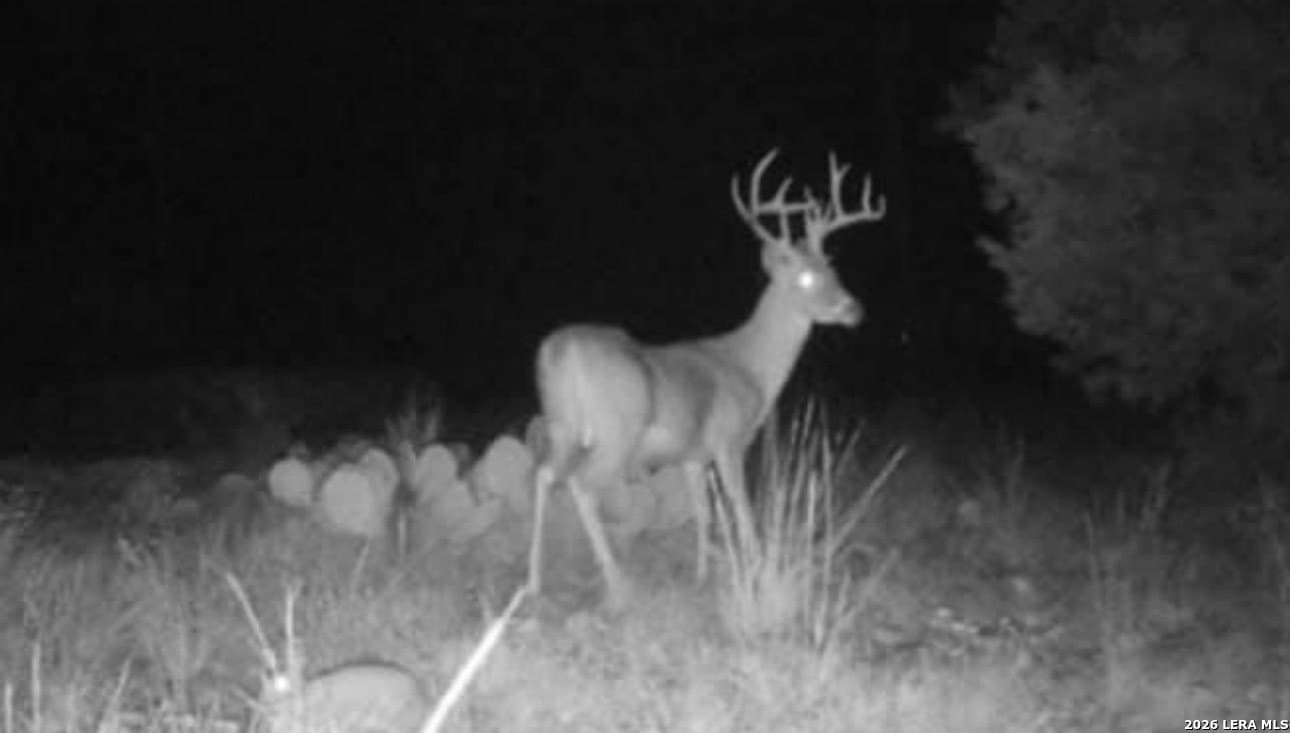 21.94 acres in Edwards County - photo 12