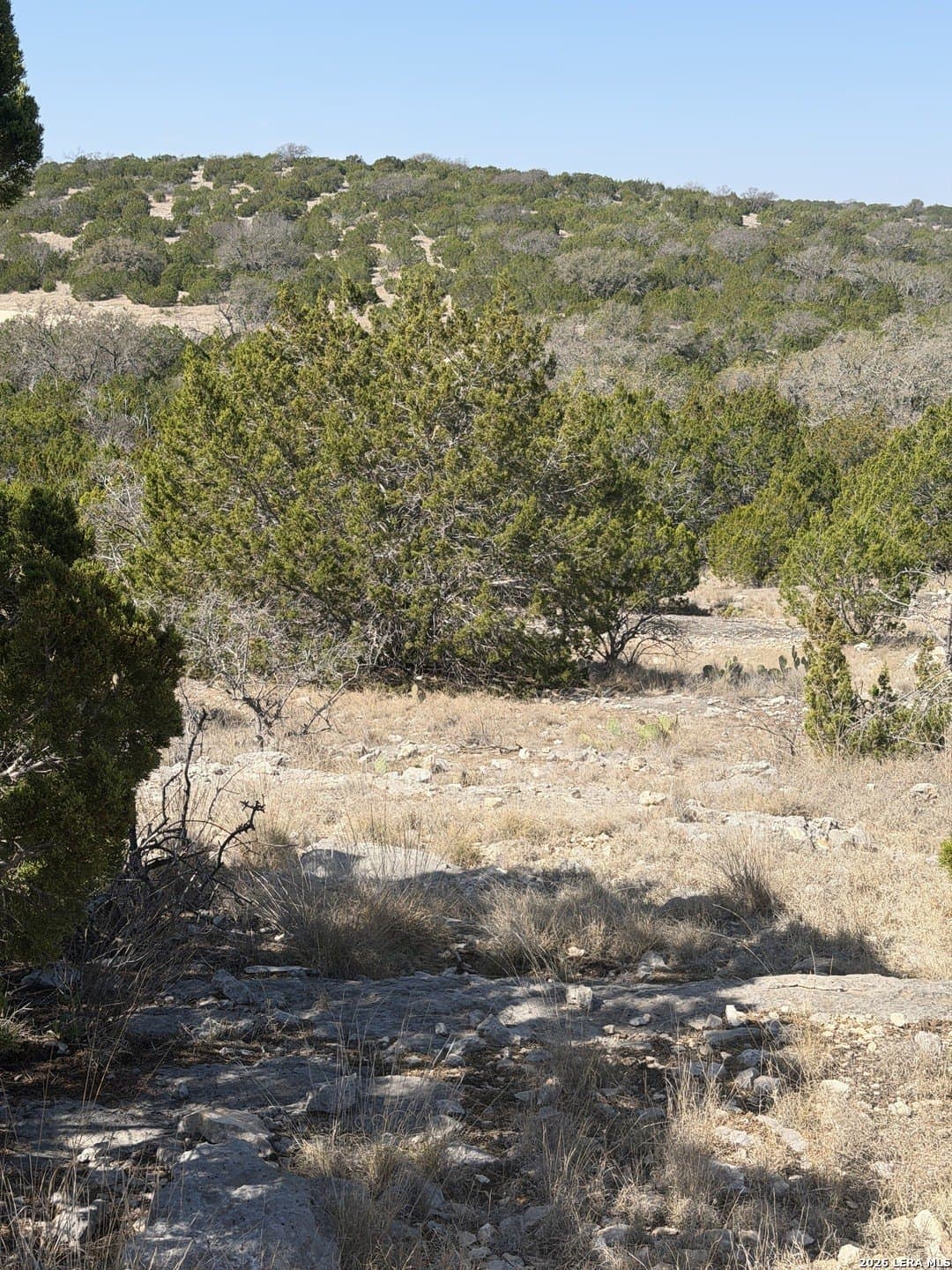 21.94 acres in Edwards County - photo 27
