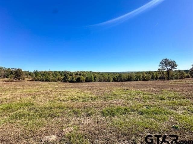 10 acres in Rusk County - photo 3