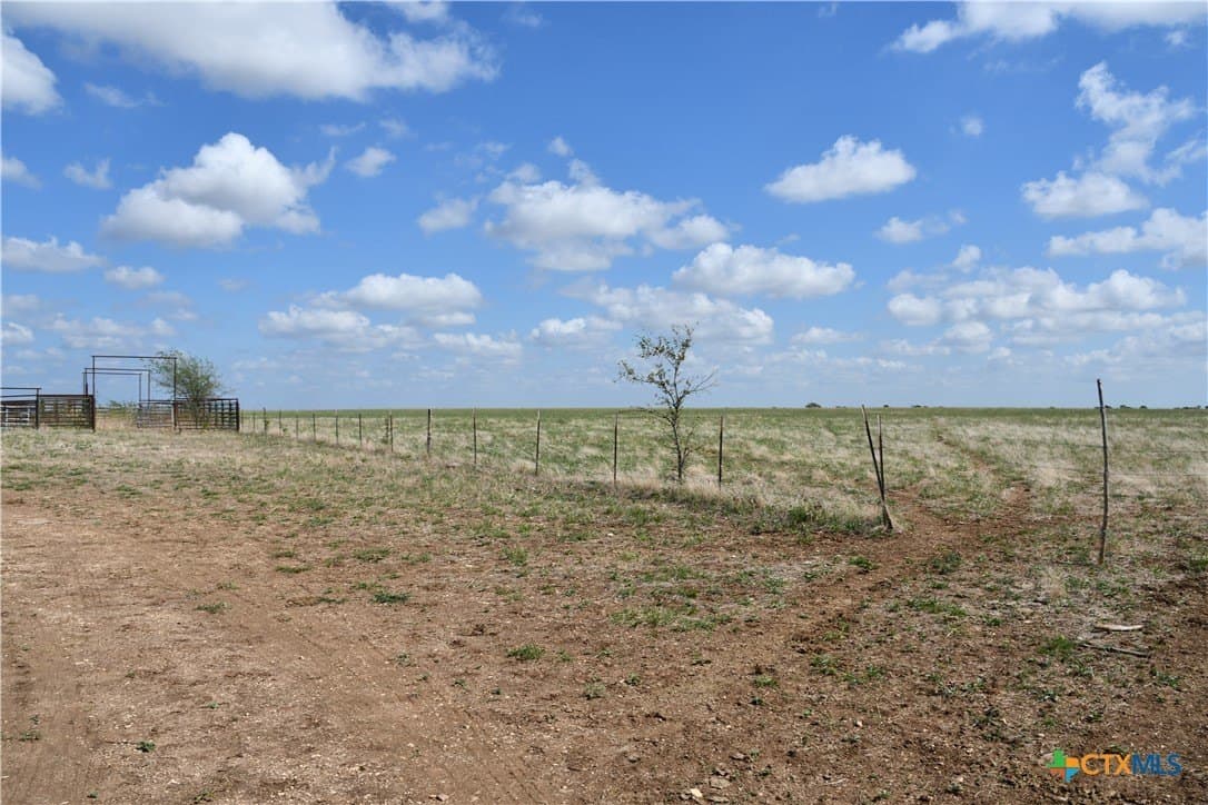 20 acres in Coryell County - photo 5