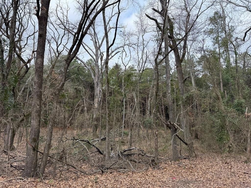 23.68 acres in Wood County - photo 20