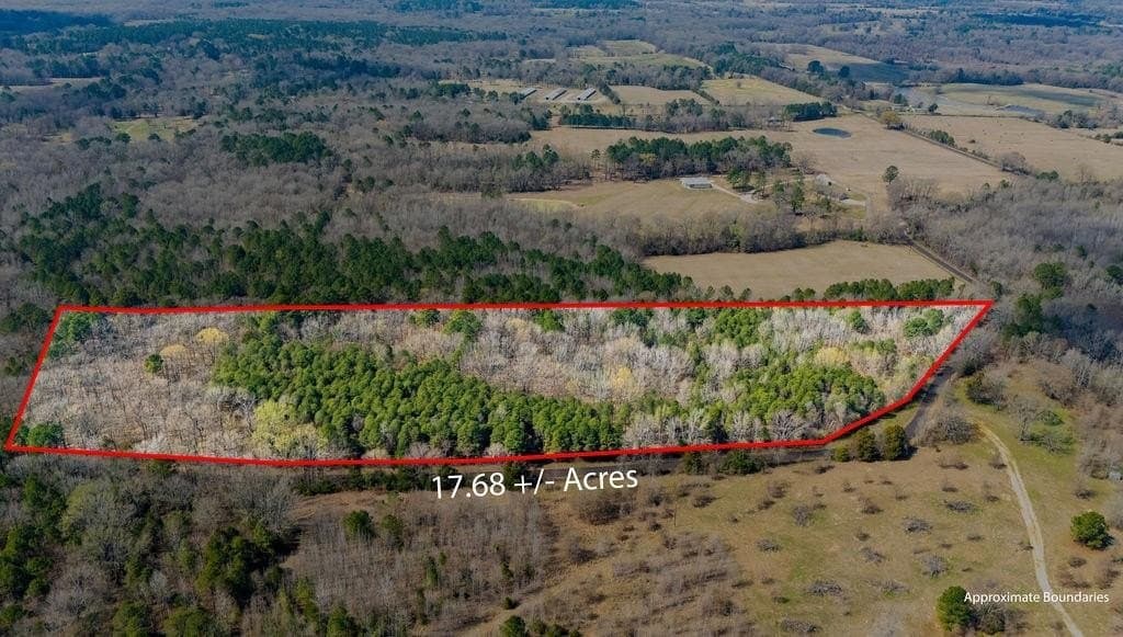 23.68 acres in Wood County - photo 4