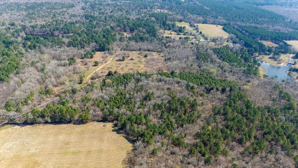 23.68 acres in Wood County - photo 9