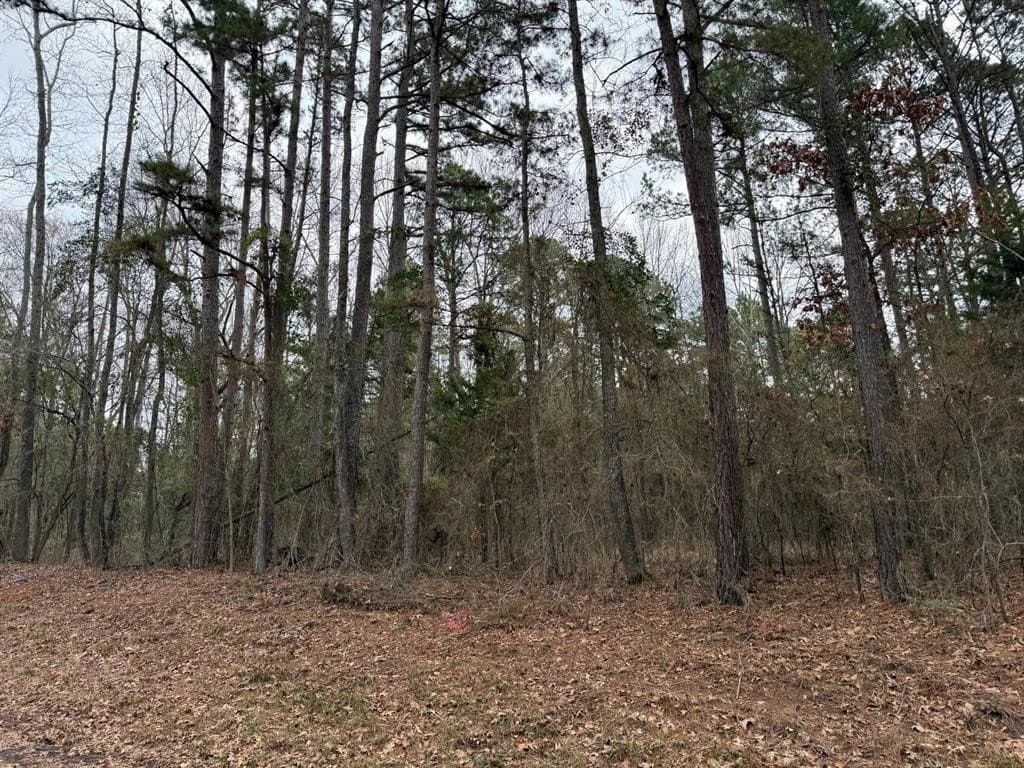 23.68 acres in Wood County - photo 19
