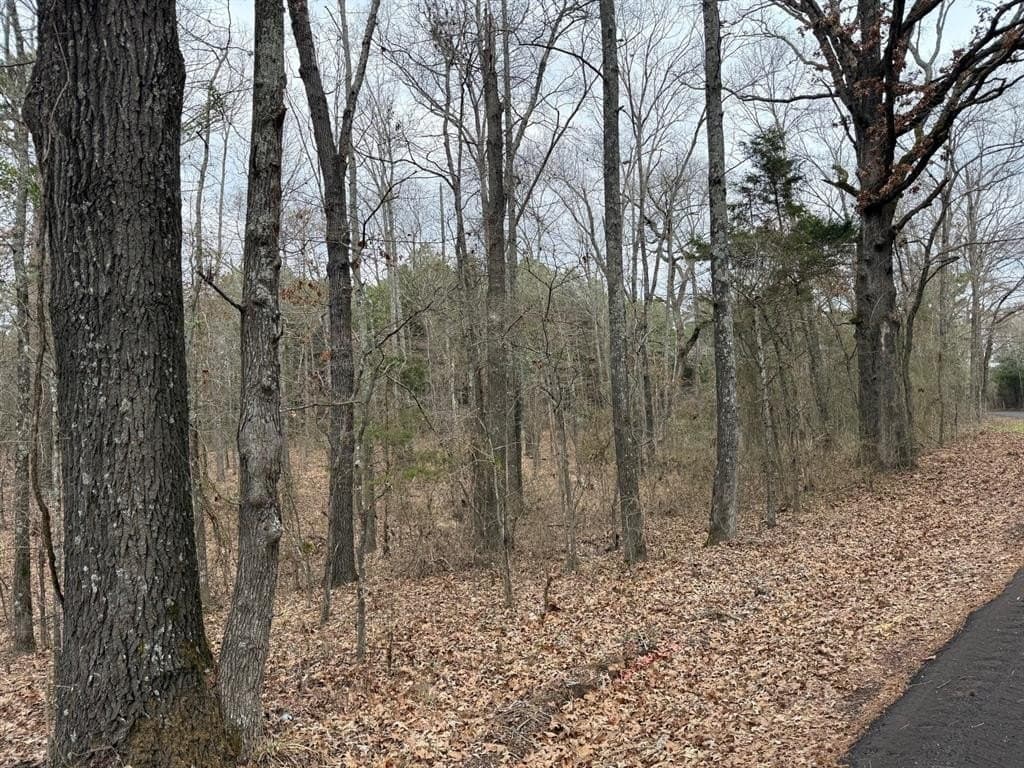 23.68 acres in Wood County - photo 15