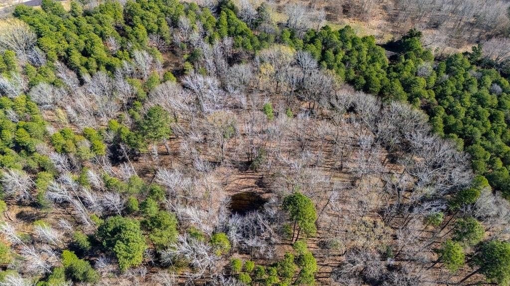23.68 acres in Wood County - photo 7