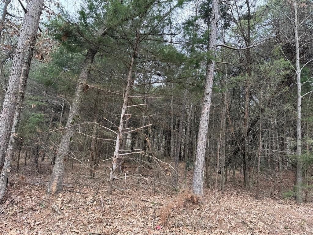 23.68 acres in Wood County - photo 21