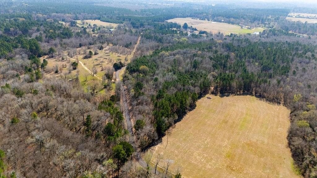 23.68 acres in Wood County - photo 6