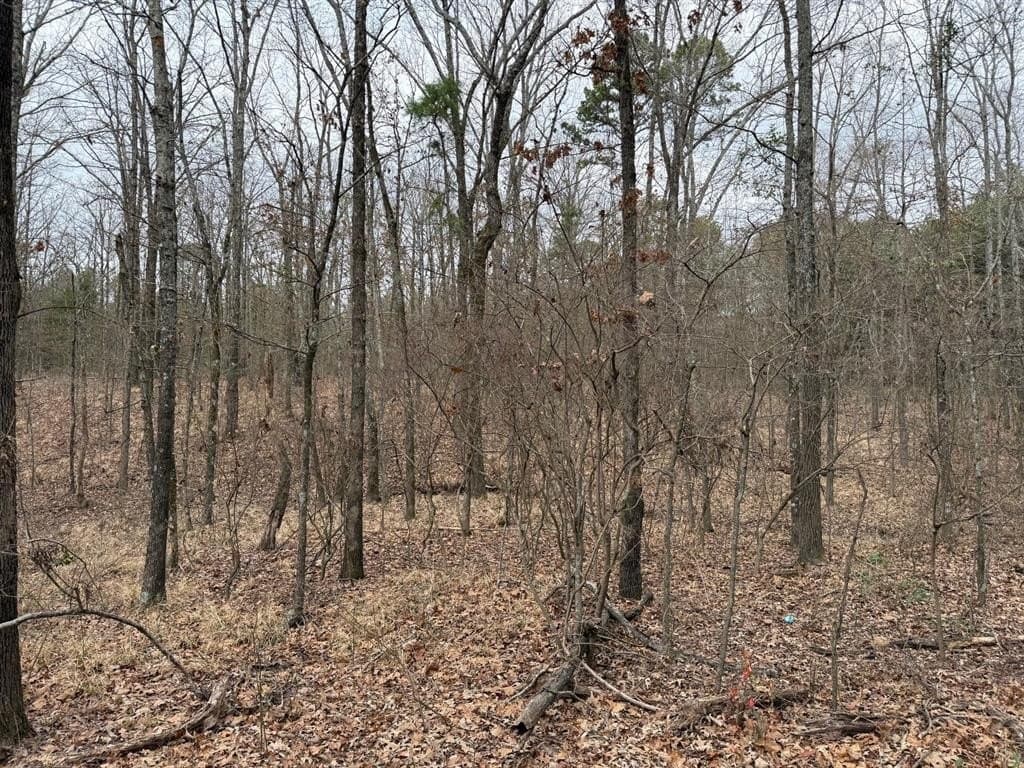 23.68 acres in Wood County - photo 18