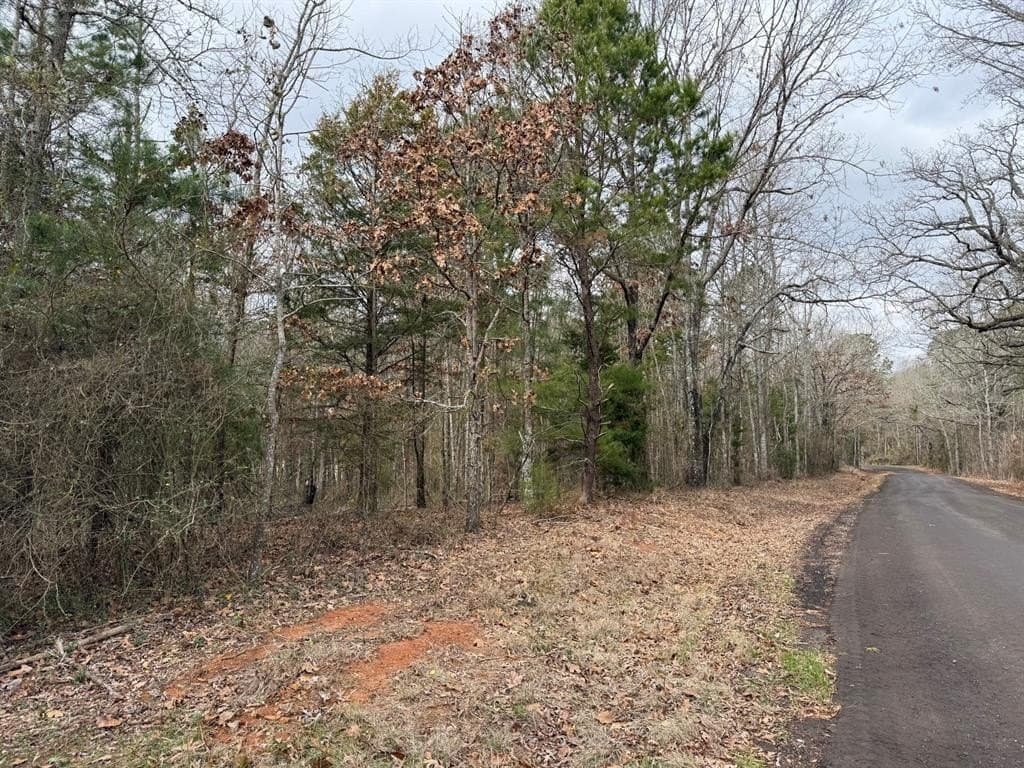 23.68 acres in Wood County - photo 14