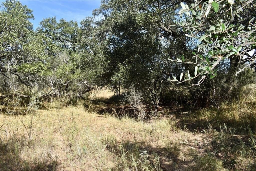 56.88 acres in Mason County - photo 27