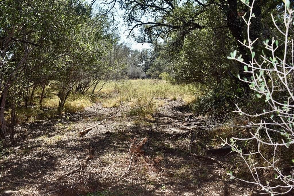 56.88 acres in Mason County - photo 33