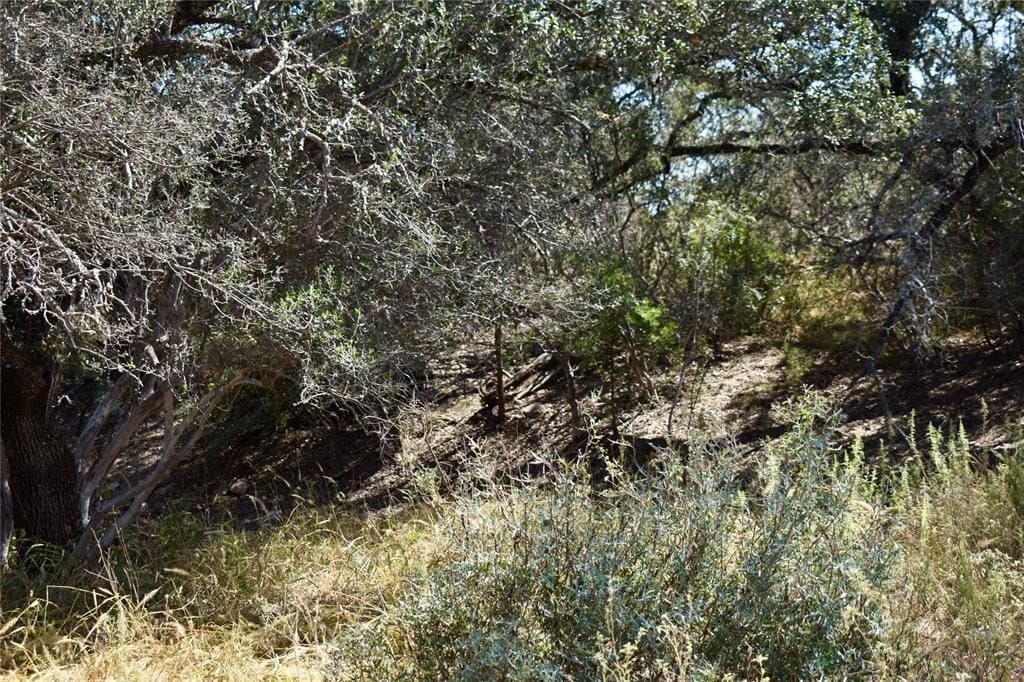 56.88 acres in Mason County - photo 39