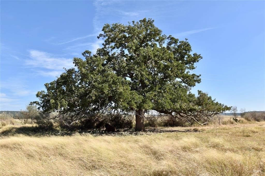 56.88 acres in Mason County - photo 30