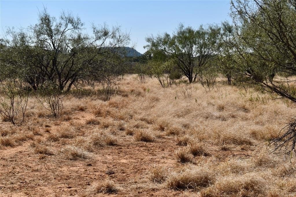 56.88 acres in Mason County - photo 25
