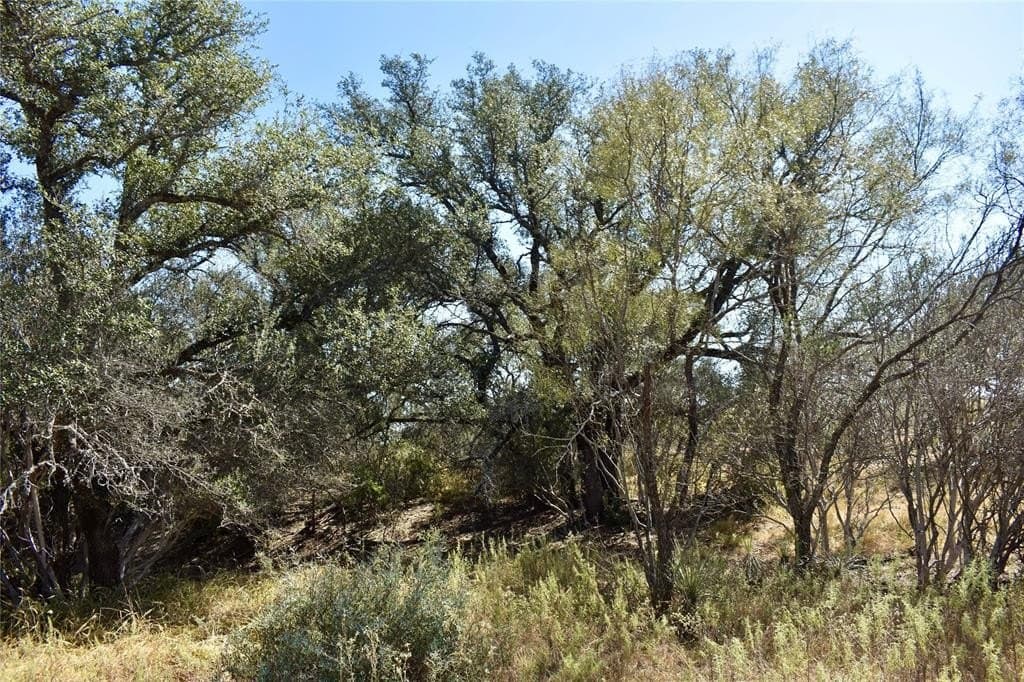 56.88 acres in Mason County - photo 40