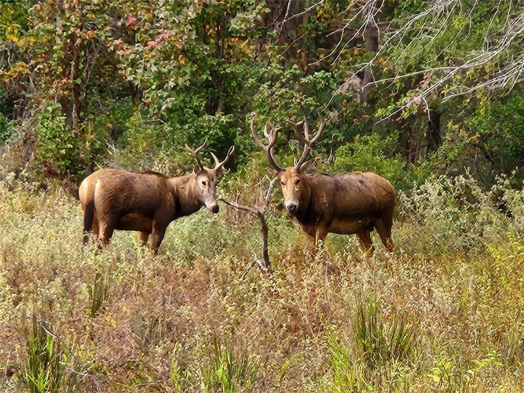 2.01 acres in Henderson County - photo 14