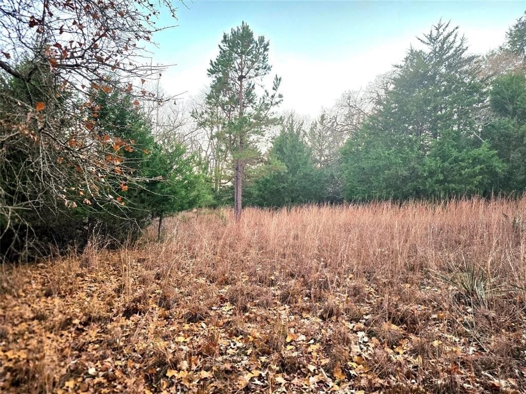 2.01 acres in Henderson County - photo 39