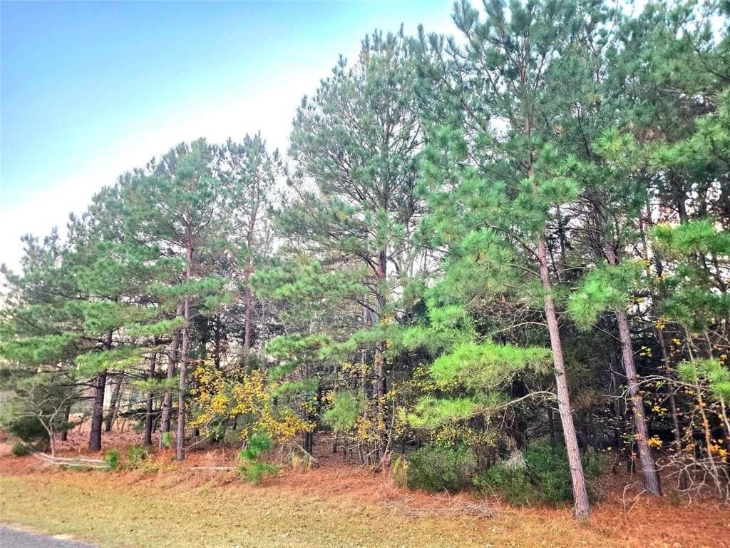 2.01 acres in Henderson County - photo 31