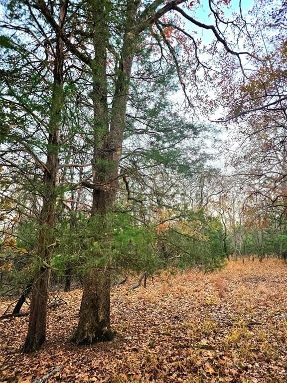 2.01 acres in Henderson County - photo 32
