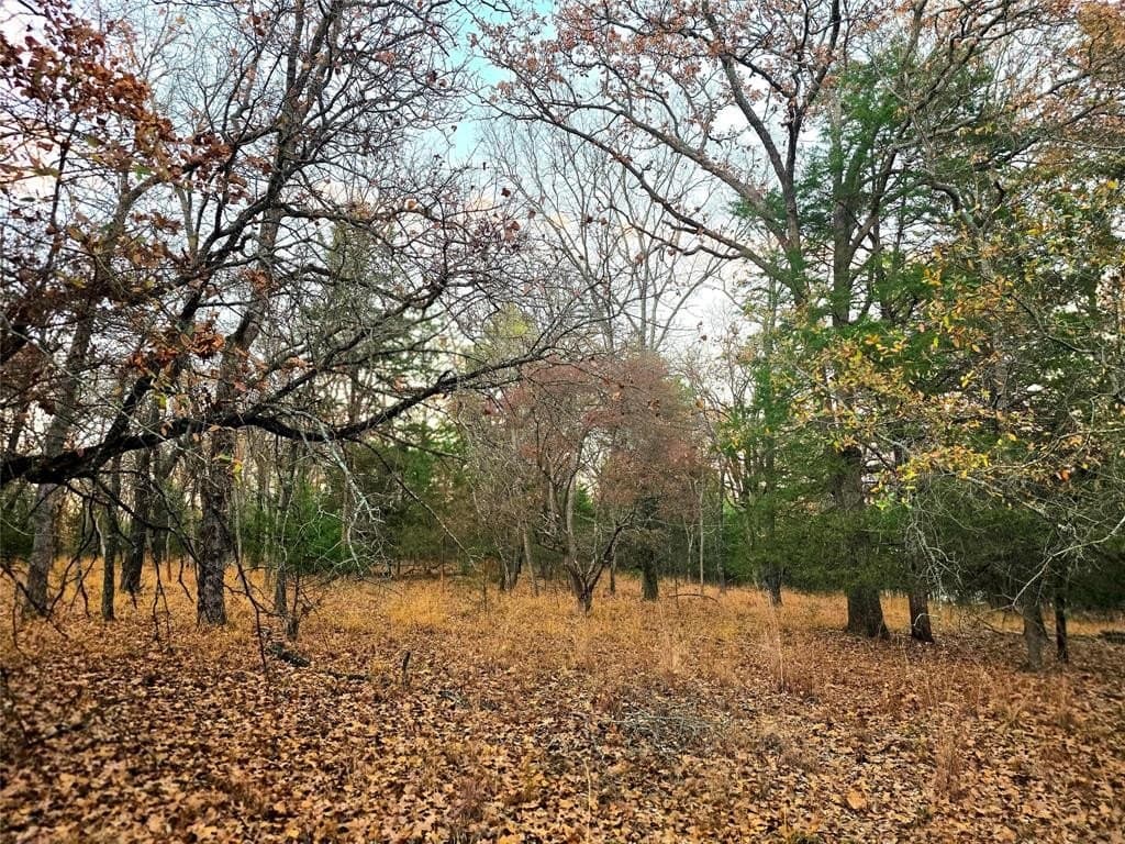 2.01 acres in Henderson County - photo 7