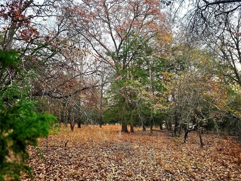 2.01 acres in Henderson County - photo 6