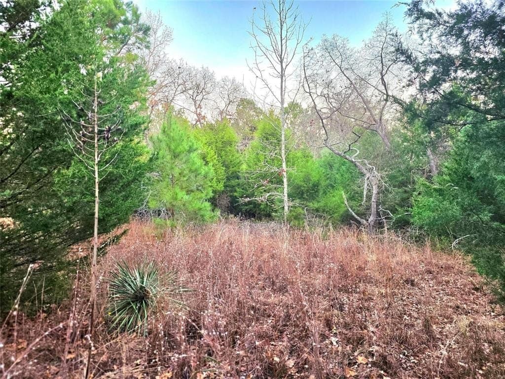 2.01 acres in Henderson County - photo 4