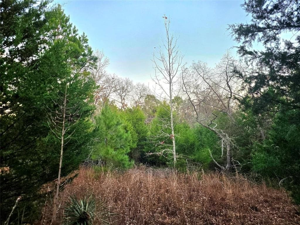 2.01 acres in Henderson County - photo 29