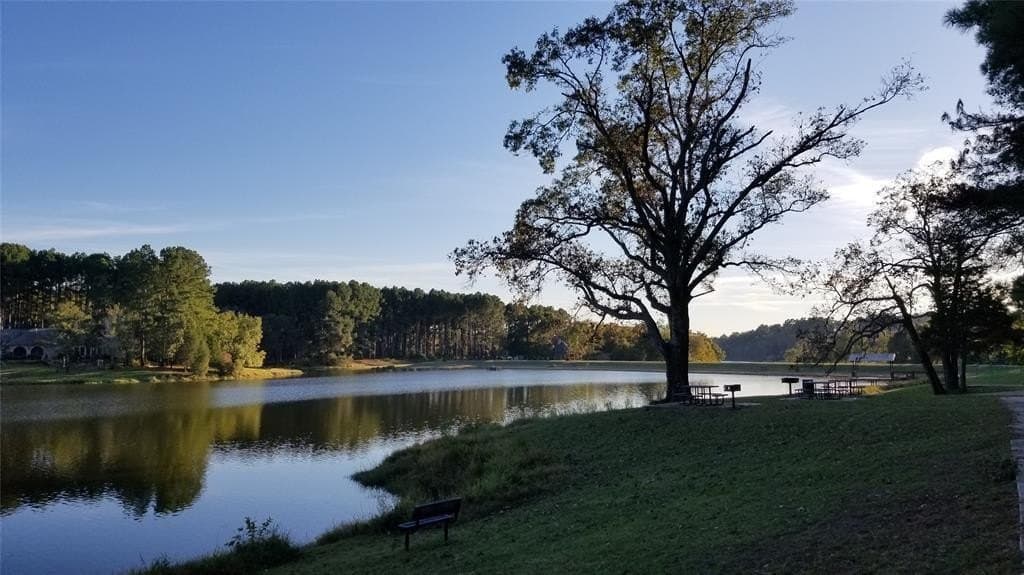 2.01 acres in Henderson County - photo 16
