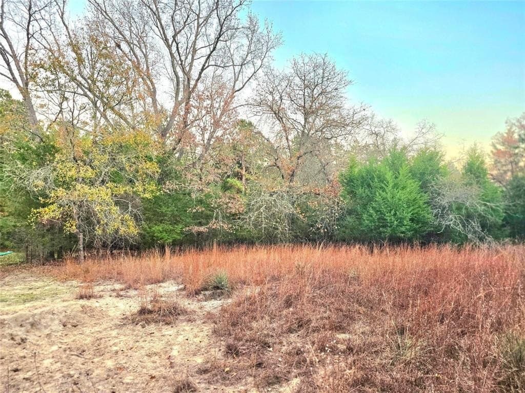 2.01 acres in Henderson County - photo 2