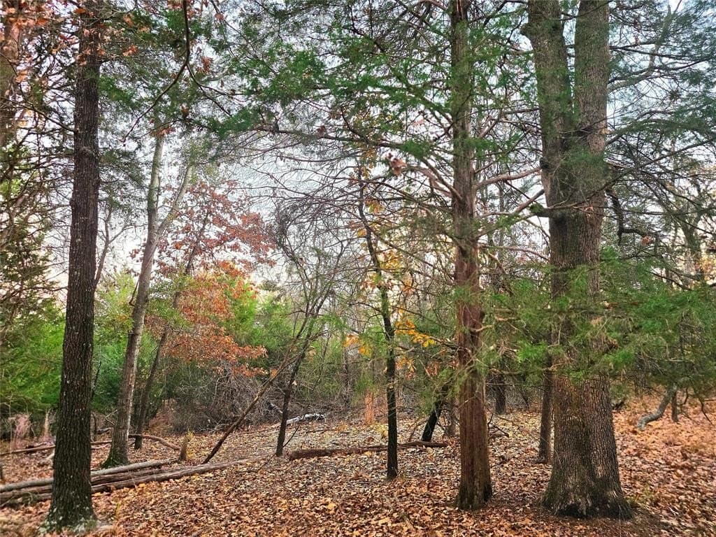 2.01 acres in Henderson County - photo 5