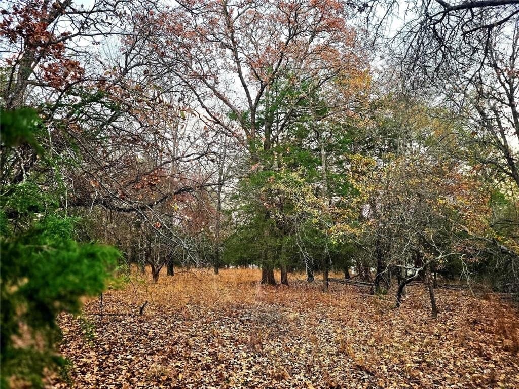 2.01 acres in Henderson County - photo 3