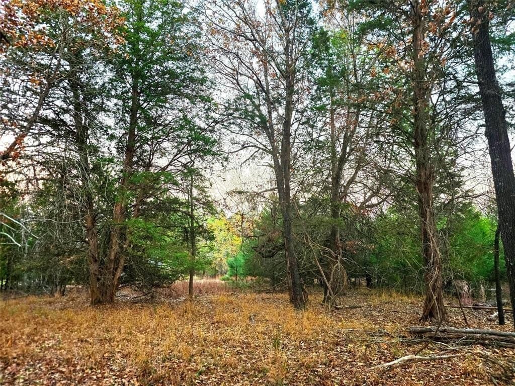 2.01 acres in Henderson County - photo 38