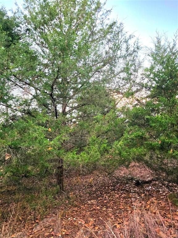 2.01 acres in Henderson County - photo 9