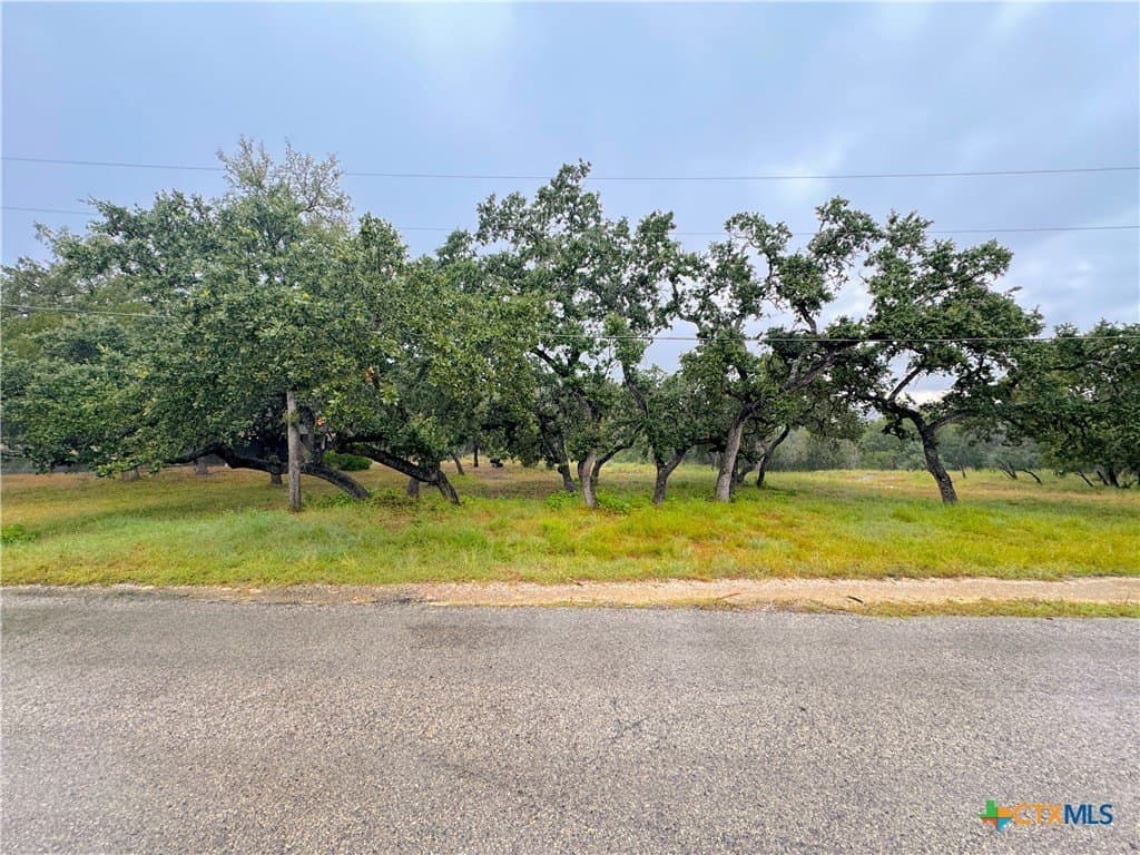 0.26 acres in Comal County - photo 3