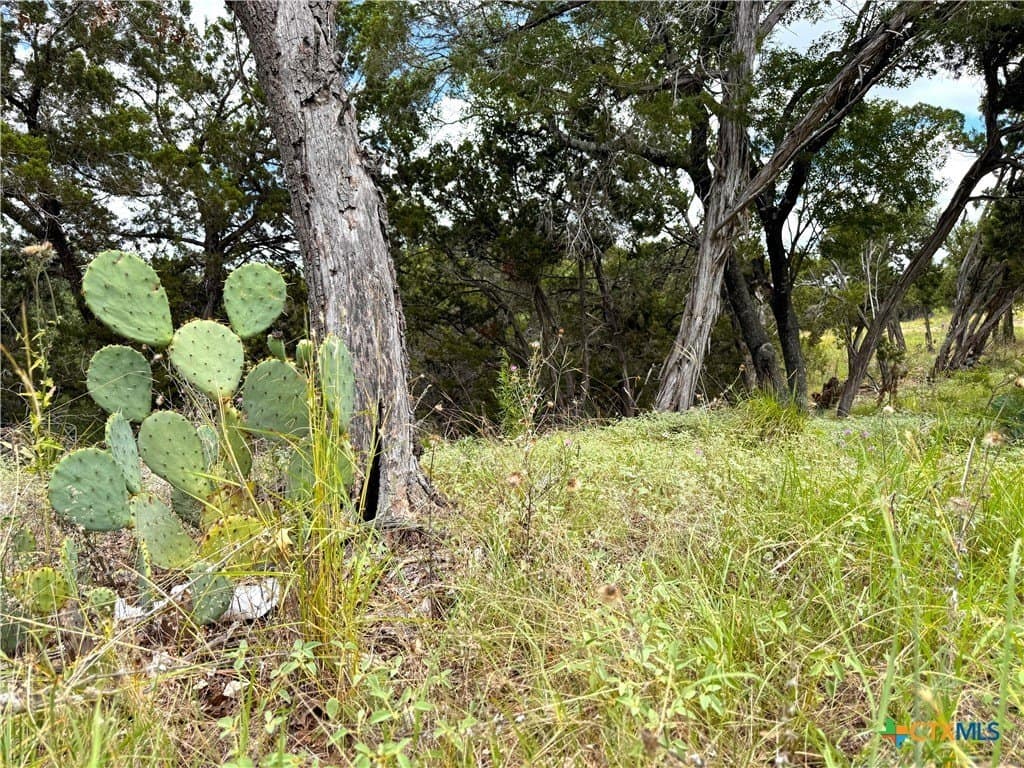 0.26 acres in Comal County - photo 2