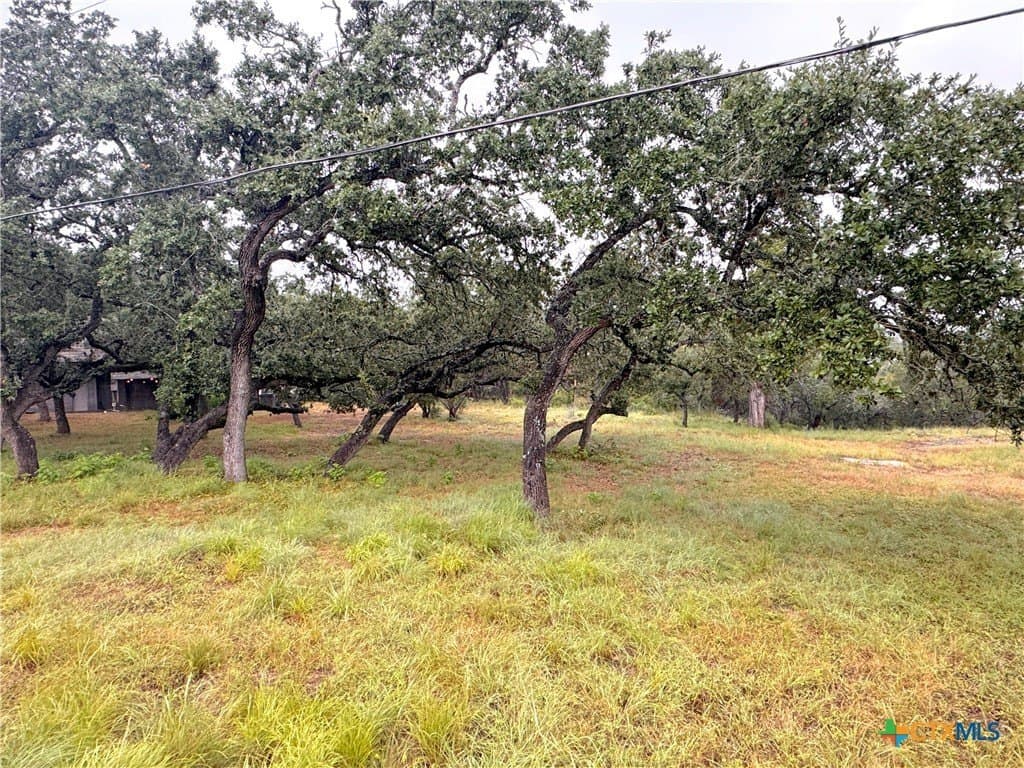 0.26 acres in Comal County - photo 4