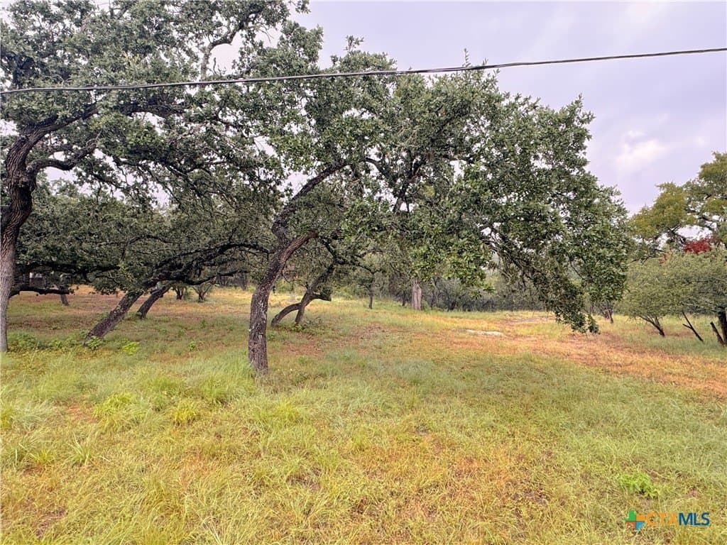 0.26 acres in Comal County - photo 5