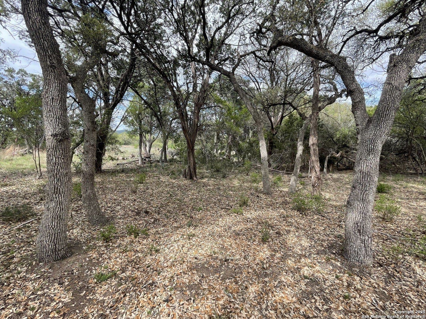 0.35 acres in Bandera County - photo 8