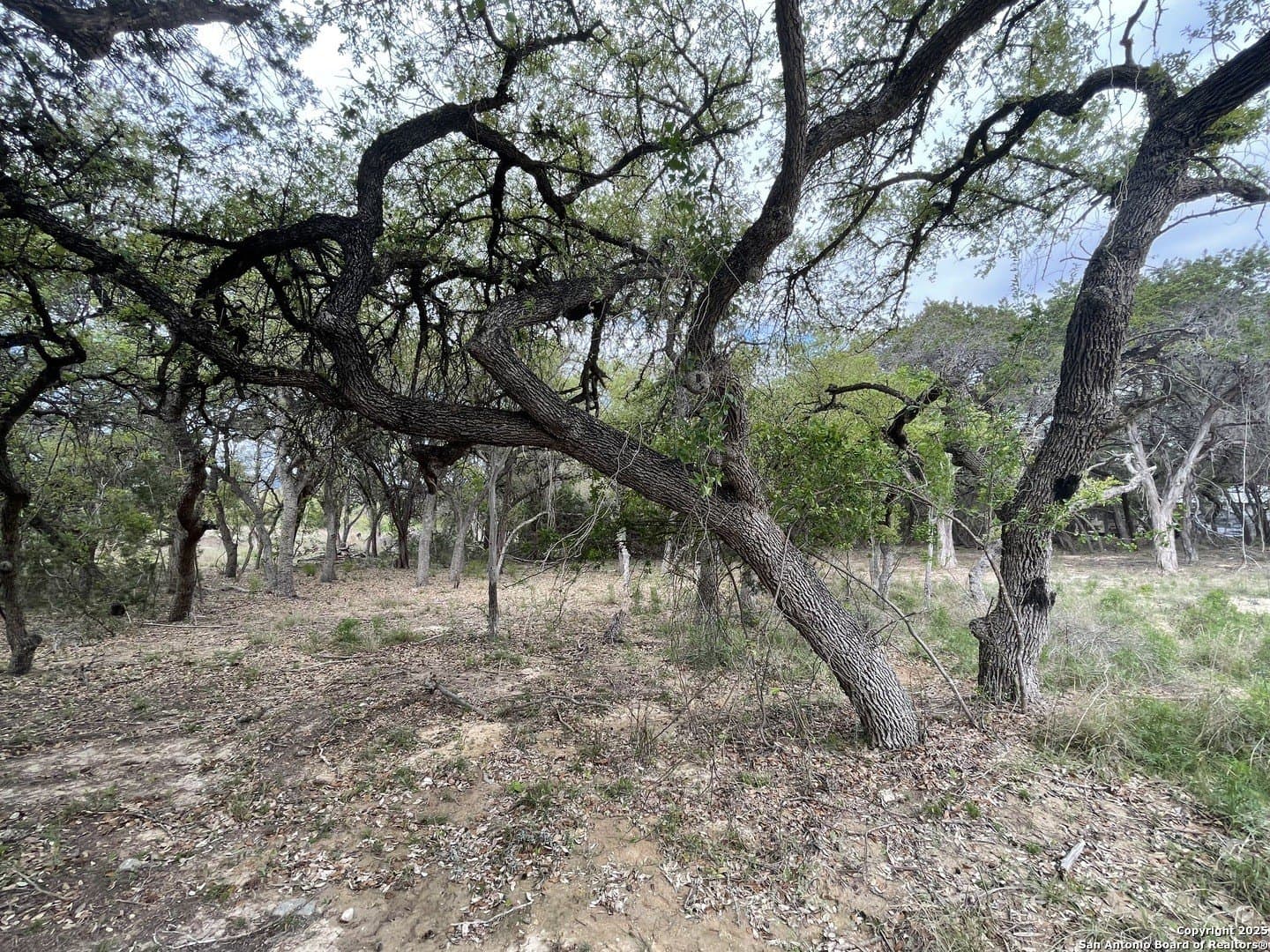 0.35 acres in Bandera County - photo 6