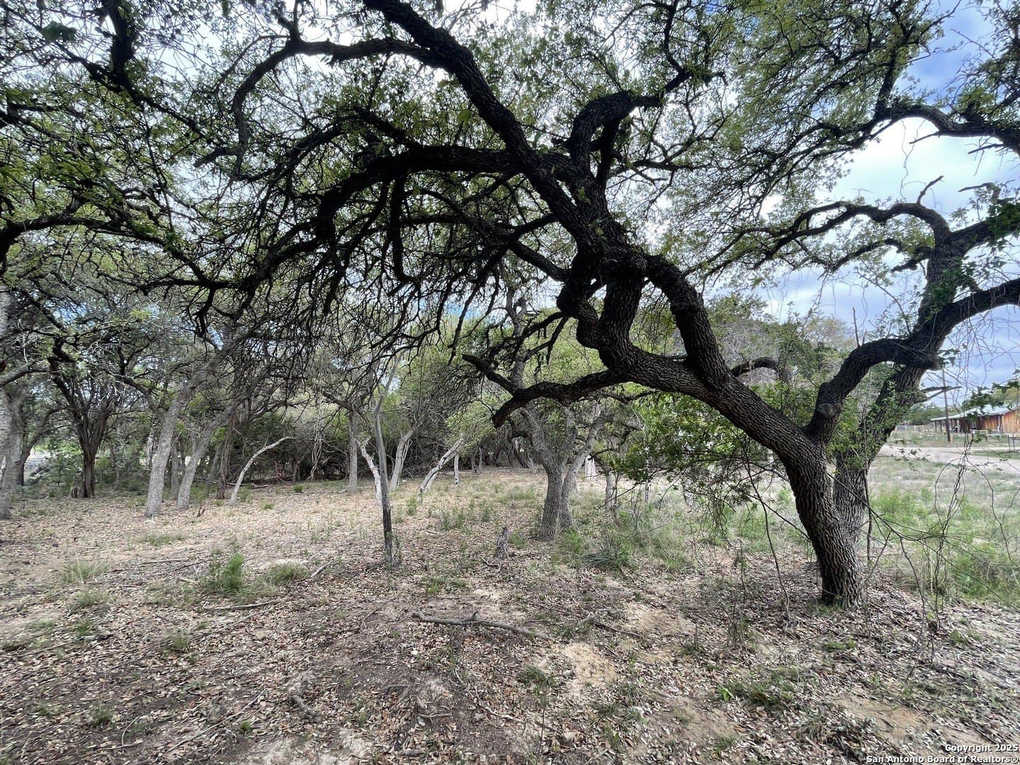 0.35 acres in Bandera County - photo 7