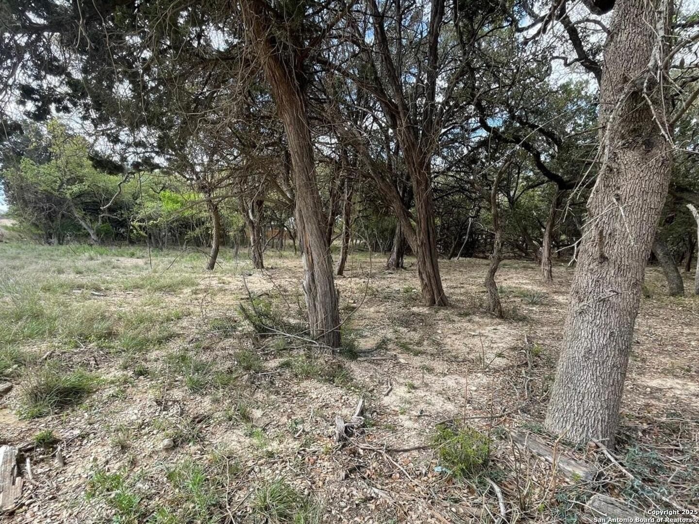 0.35 acres in Bandera County - photo 15
