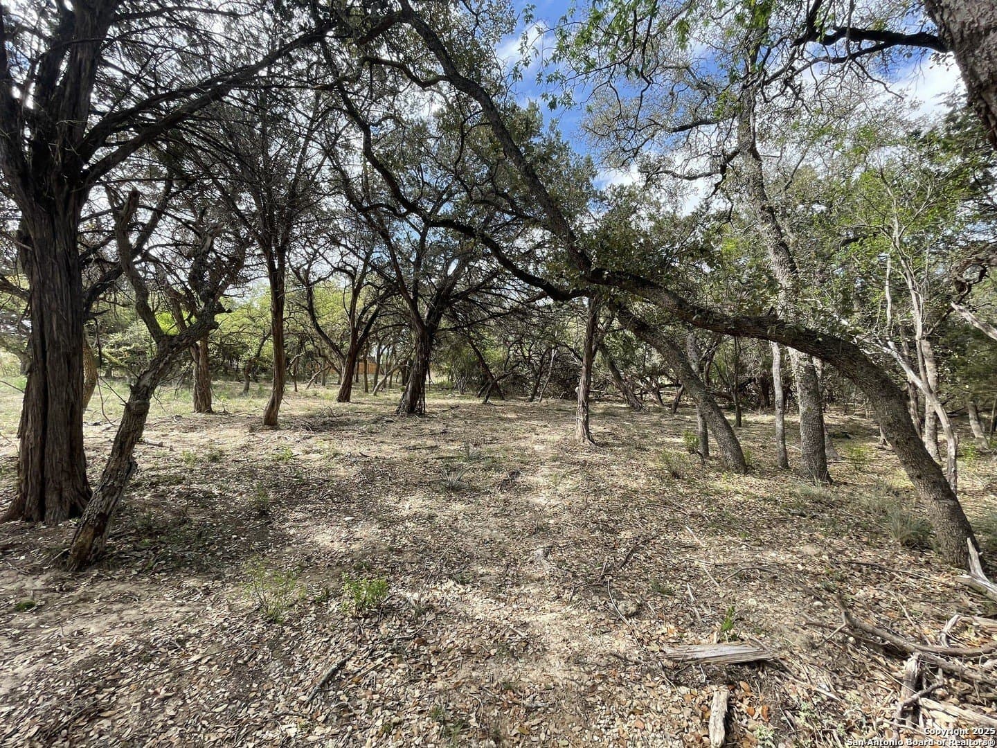 0.35 acres in Bandera County - photo 14