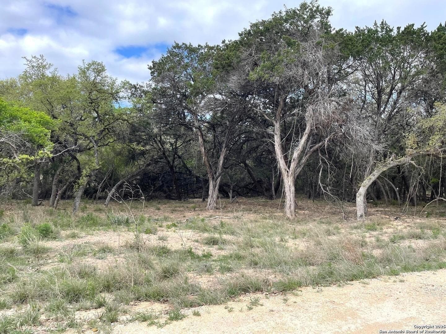 0.35 acres in Bandera County - photo 3