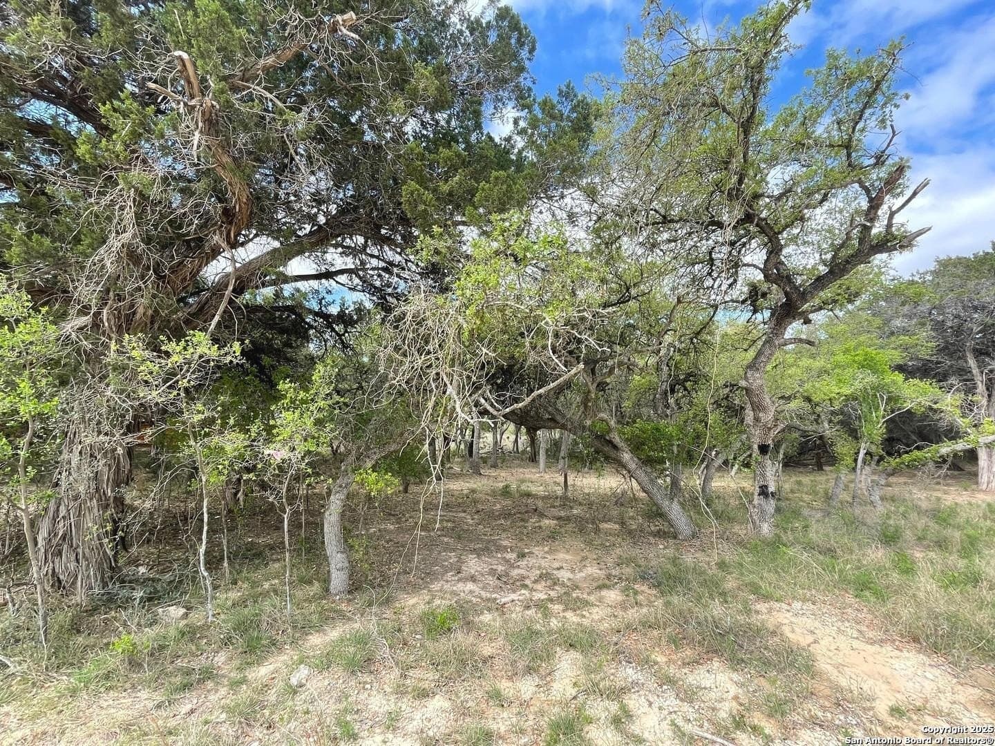 0.35 acres in Bandera County - photo 20